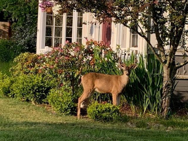 Anchorage Bed & Breakfast
