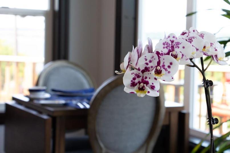 Anchorage Bed & Breakfast Coupeville